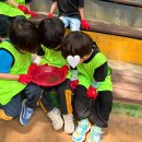 옥림 유아숲체험원 네이버블로그