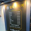 펠릭스(Felix Hair)