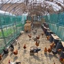 전주 우리밀 영농조합 체험장 알차고 즐거웠다