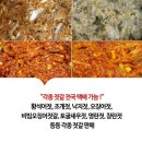 건희네토굴새우젓 네이버블로그