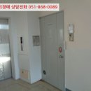 사파동117 이미지