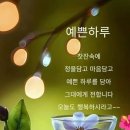 예쁜여인과 예쁜하루가 되시길요 이미지