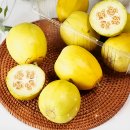 햇님 | 입짧은햇님 망고참외 파는곳·가격·후기까지 (냉장고를 부탁해)