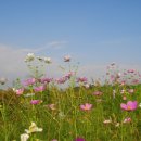 허수아비 이미지