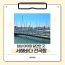 화성도시공사 전곡마리나 | 화성 아이와 가볼만한 곳 서해 바다 전곡항 가족나들이 추천