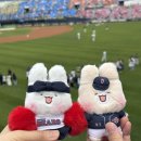 잠실 야구장 직관 얼레벌레 네번째 후기(수내닭꼬치/명인만두/1루 외야지정석 407블럭 16열 23n번 시야)