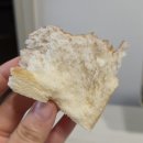 식빵 | 식빵계 에르메스 천안 불당 화이트리에 식빵 후기