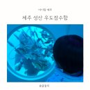 잠수함 | 제주 우도잠수함 후기 36개월 아기와 다녀온 이색체험