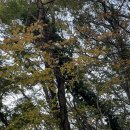 제비2리 이미지