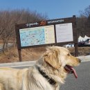 문성약국 이미지