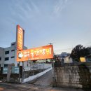 태백 맛집 엄마손태백물닭갈비 내돈내산 후기