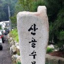 시흥산골수목원~물왕저수지~아쿠아펫랜드(2024.7.7) 이미지