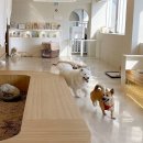 뭉스벨리 이미지