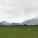 다운목장 이미지