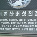 집밥여기 이미지