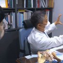 올림픽정형외과의원 이미지