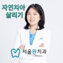 송파구 방이동 치과 서울완치과의원 위치 오는길 후기