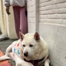 개목욕탕 이미지