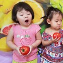 시은 푸드 이미지