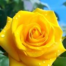 아침을 여는 음악 2월 16일(금) 이미지