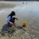 더 해담은 | 태안 오션뷰 펜션 더 담은 펜션 후기: 조용히 쉬기 좋은 이유와 갯벌체험·바다낚시 현실 팁