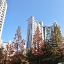 뉴중앙공인중개사사무소 이미지