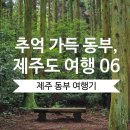 하나로마트(남부지소) | [제주도 차박 여행 06] 제주 동부 여행코스 & 무료주차 꿀팁 | 표선~조천~성산~구좌, 추억이 가득한...