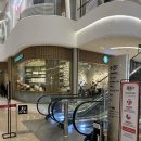 도토리펫샵 | [경기] 하남 스타필드 펫 유모차 대여하기 / 몰리스펫샵 / 도토리캐리커쳐 후기