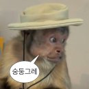 원성목욕탕 이미지