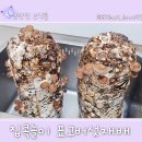 표고 | 집콕놀이 드림버섯농장 버섯키우기 키트 표고버섯재배 후기