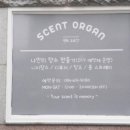센트오르간