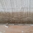 새마산목욕탕 이미지