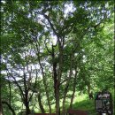 불심약수터 이미지