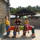 나비 한살이 이미지