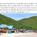 로얄레포츠