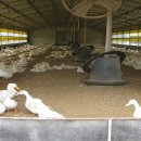 선제농장 이미지