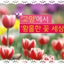 꽃세상 - 송파구 오금로31길 17 | 꽃세상