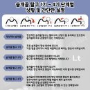 남창미르동물병원 | 강아지 양측 슬개골 2~2.5기 선택적 수술 후:보행 불안정 개선 사례