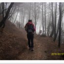 숲길민박 이미지