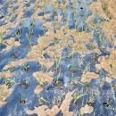 현경농장 이미지