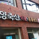 사자약품 이미지