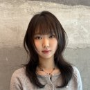 동명헤어라인 이미지