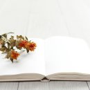 안동과학대학교 이미지