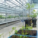 다올농장 이미지