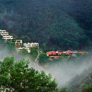 힐리언스 이미지