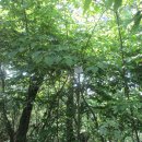 사기점골 이미지