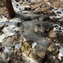 축령산 치유의 숲 안내센터 | [2026.01.31] 전남_축령산(축령산 치유의 숲, 편백나무숲)