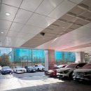 재호환경 | 정자동 헤어by해열에서 단발펌 후기｜숏커트 감성까지 살린 정자역미용실 추천