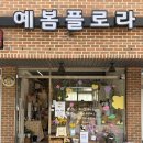 원예생활지도사 | “운정꽃집 예봄플로라, 가람마을 24시 무인 꽃집에서 S 꽃다발 주문 후기”