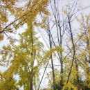 허균, 허난설헌기념관 이미지